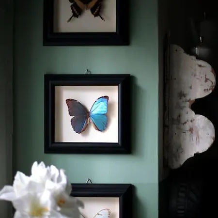 Colazione In Piazza Castello 4*